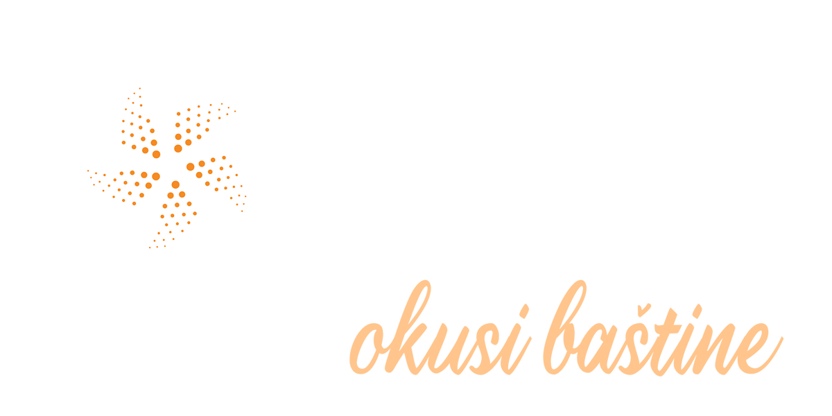 Saluto-Team - klijenti i partneri